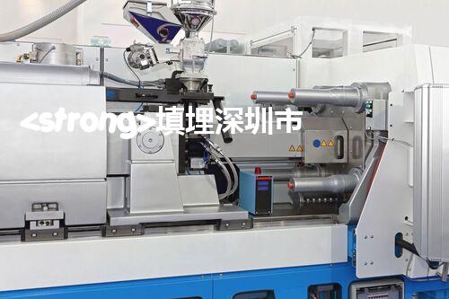 <strong>填埋深圳市危險(xiǎn)廢物處理站有限公司化工設(shè)施安全解體：如何高效處理復(fù)雜工業(yè)遺留問題？</strong>